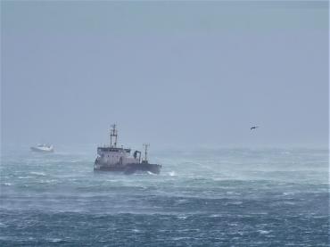 Ship takes shelter in St Austell Bay by Lisa MacLeod