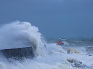 Against the Nature by Tadas Kaminskas